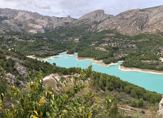 Lake near Alicante